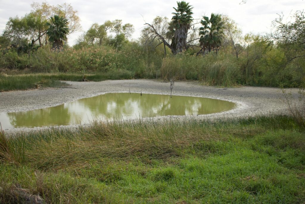 A peaceful rural scene featuring a reflective pond surrounded by lush greenery and trees.
