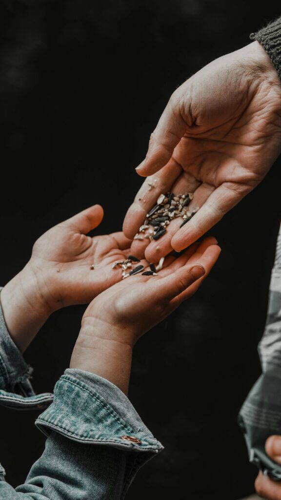 A close-up view of an adult handing sunflower seeds to a child, symbolizing sharing and connection.